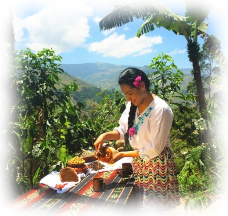 baustein tambopata perumastertravel perumastertravel 3 tage tambopata