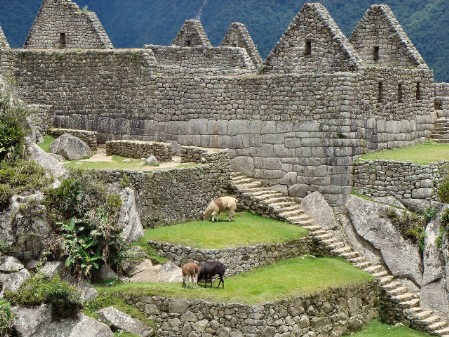 peru master travel inca trail